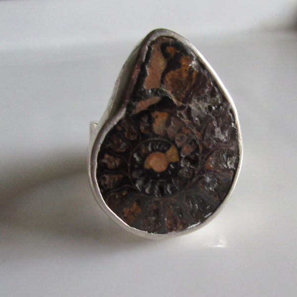 Fossil Spiral Adjustable Sterling Silver Ring